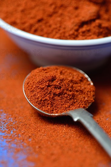 Paprika powder in spoon