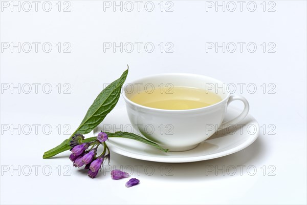 Cup of comfrey tea