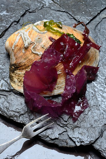 Red alga with sea salt in mussel shell and fork