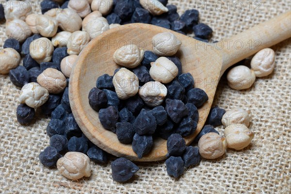 Black and white chick peas in cooking spoon