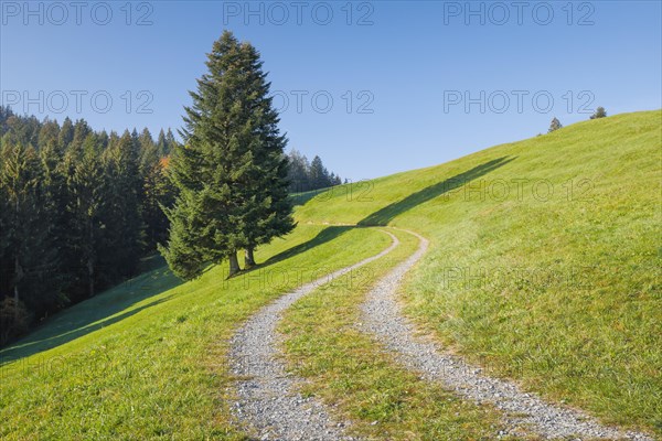 Field path on the Ratenpass