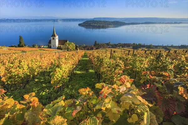 Ligerz on Lake Biel