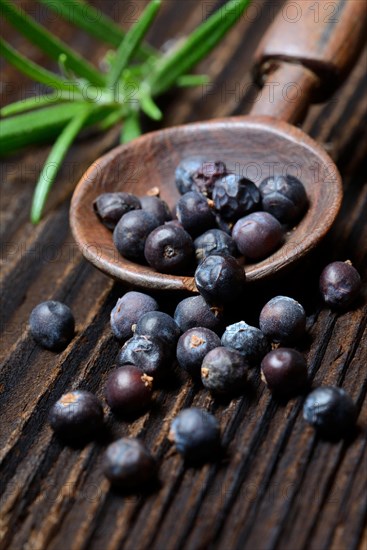 Dried juniper berries