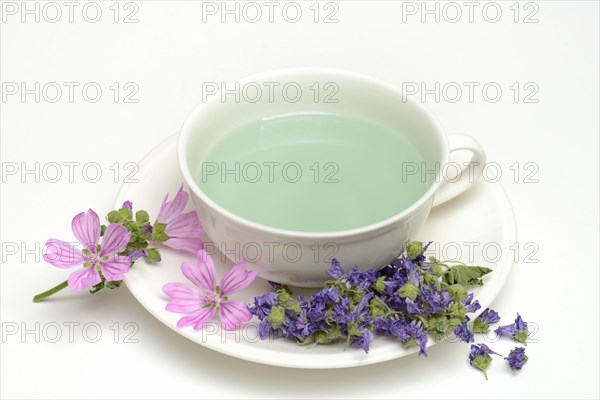 Mallow tea