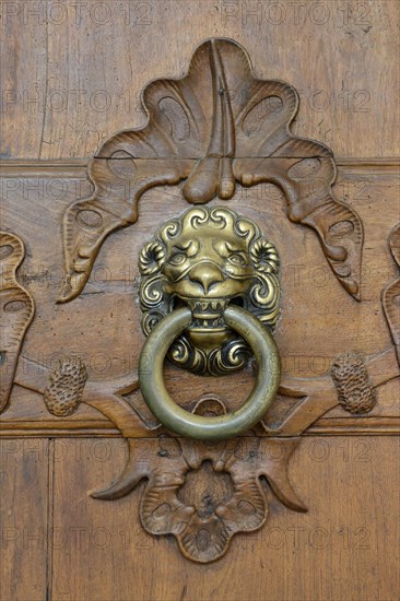 Door knocker