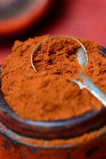 Paprika powder in spoon