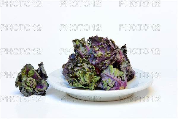 Flower Sprouts