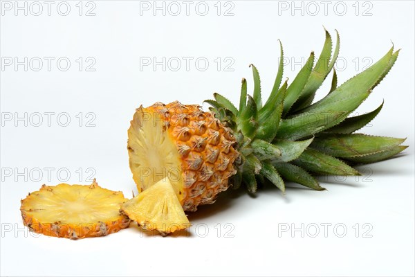 Truncated Pineapple
