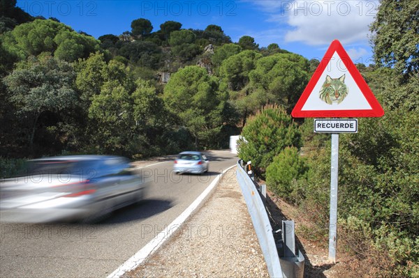 Road in Sierra de Andujar National Park