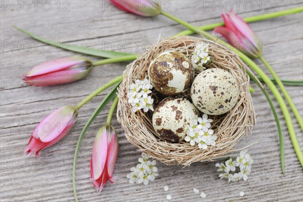 Natural Easter Decoration