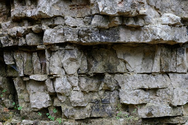 Rock face in the Wutach gorge