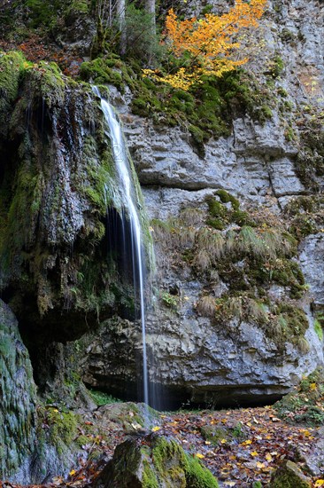 Wutach gorge