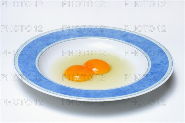 Hen's egg with double yolk