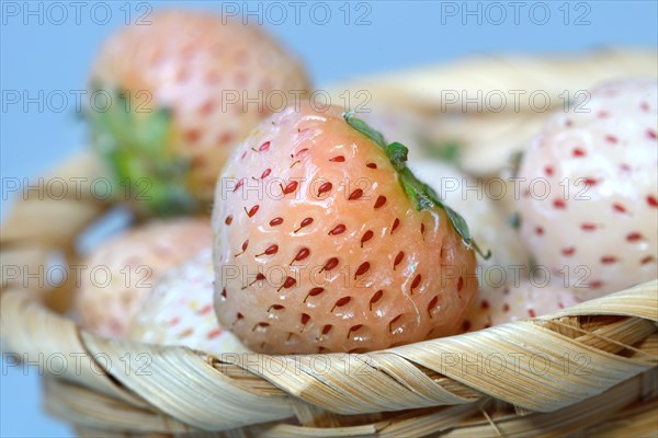 White strawberries in basket