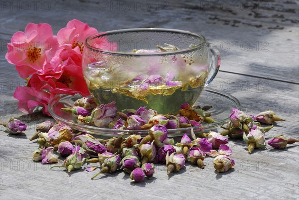 Rose tea in cup and rose buds