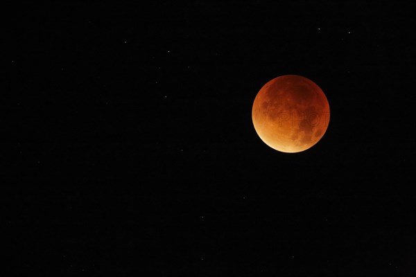 Blood Moon