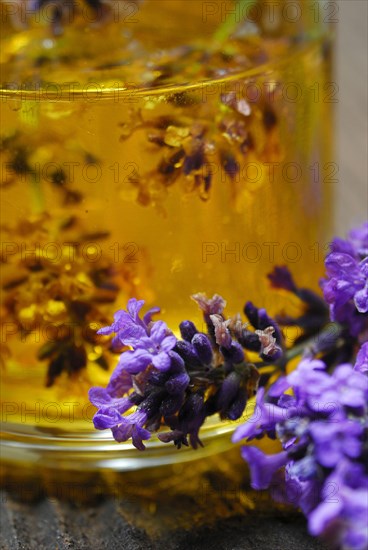 Lavender oil