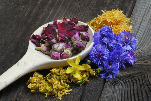 Flowers and wooden spoons