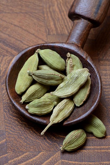 Cardamom