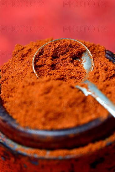 Paprika powder in spoon