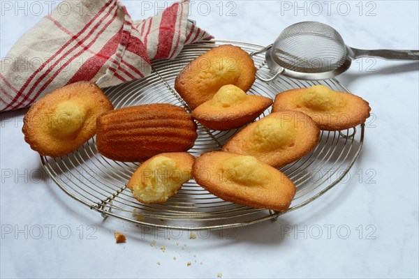 Madeleines on cake grid