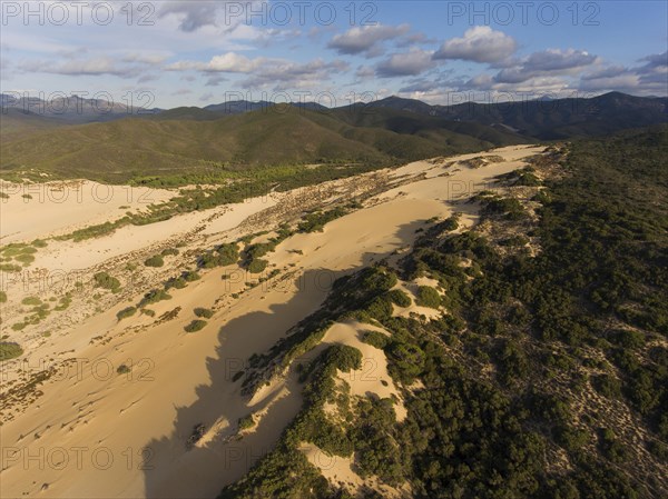 Sand dunes Dune di Piscinas