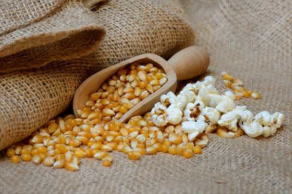 Popcorn and corn kernels in shovel