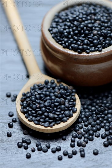 Beluga lentils in cooking spoon