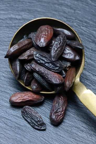 Tonka beans in ladle