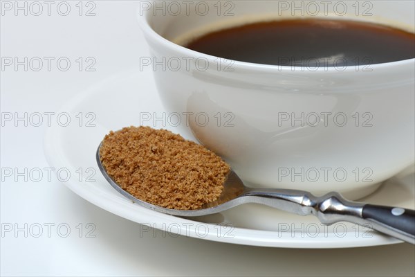 Spoon with coconut blossom sugar