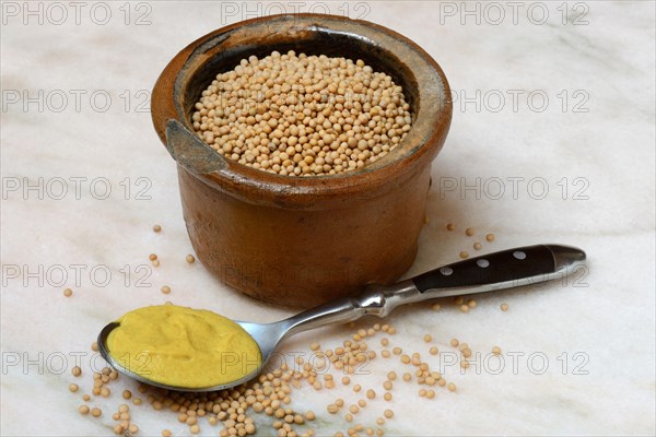 Mustard seeds and mustard