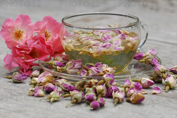 Rose tea in cup and rose buds