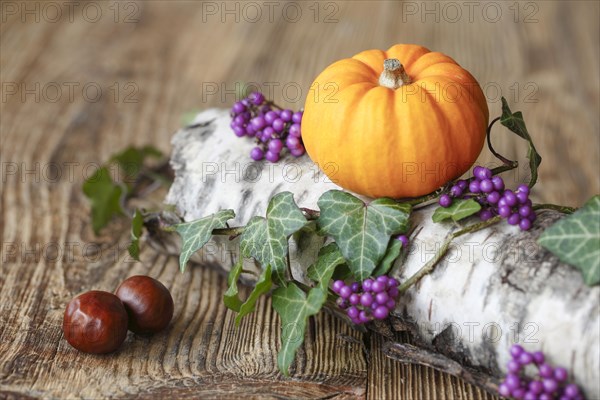 Autumnal decoration