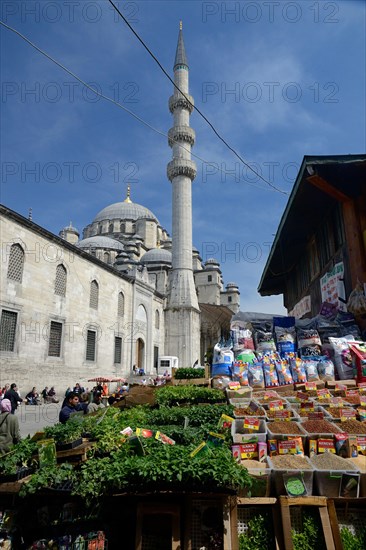 Plant market