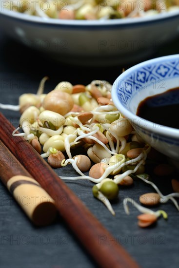 Mixed sprouts of lentils