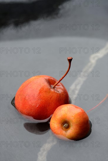 Two decorative apples in water