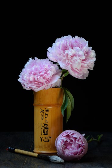 Chinese peony