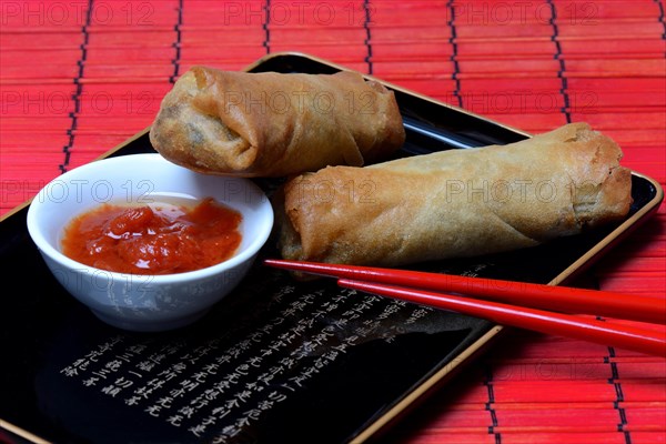 Spring roll and bowl with sauce