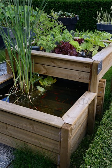 Raised bed with water basin