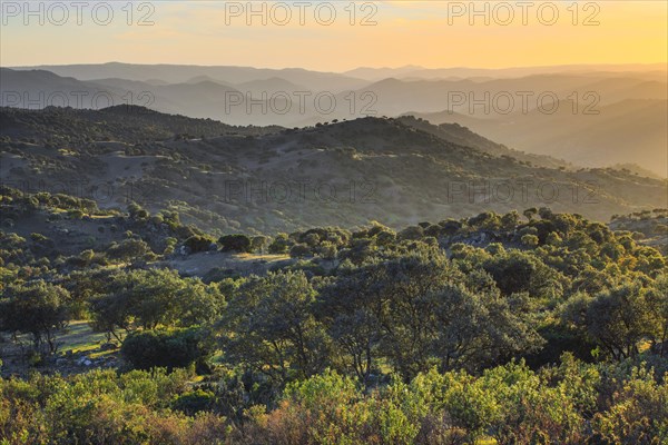 Typical landscape in the Sierra de Andujar National Park