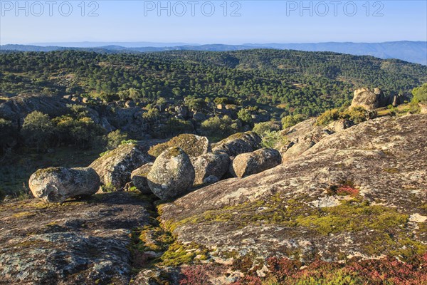 Typical landscape in Sierra de Andujar National Park