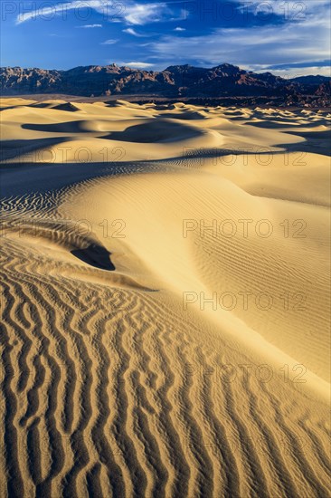 Mesquite Flats Sand Dunes