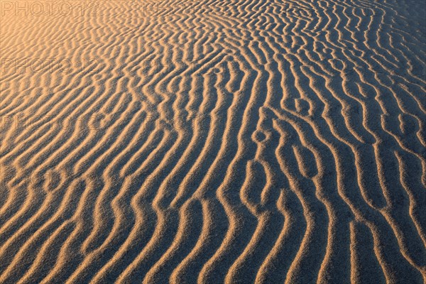 Mesquite Flats Sand Dunes