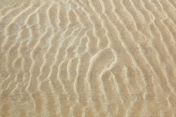 Structure in sand