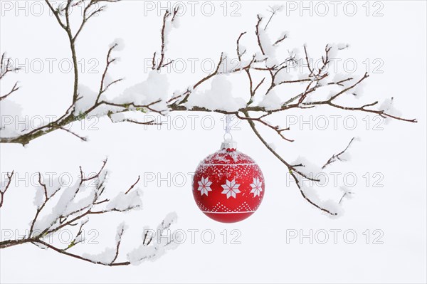 Christmas ball on snowy branch