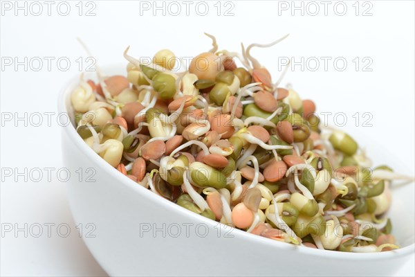 Mixed sprouts of lentils