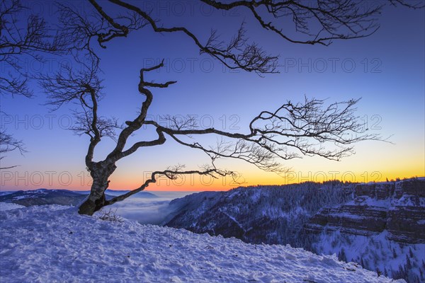 View from Creux du Van