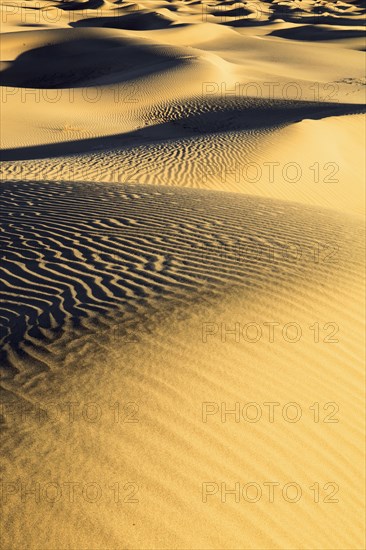 Mesquite Flats Sand Dunes