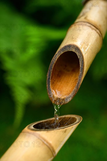 Japanese bamboo fountain