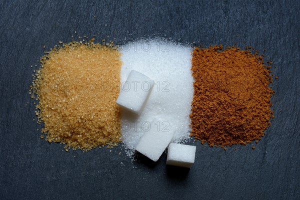 Different kinds of sugar